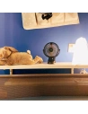 Kup Tragbarer Tischventilator Joyroom CheerSummer schwarz (JR-CY363-black) - JYR398 - {ean13} - Sklep Home Screen