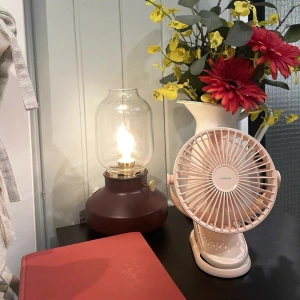 Buy Joyroom CheerSummer portable desk fan remote control pink (JR-CY363-RC pink) - JYR400 - {ean13} - Home Screen Store Europe