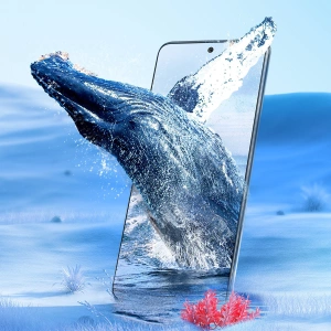 Baseus Glass 0.3mm Honor X30 clear [2 PACK]
