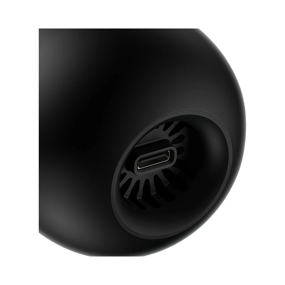 Bezprzewodowy odkurzacz samochodowy Baseus A2Pro 6000Pa (czarny)