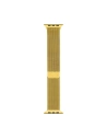 Kup Armband Crong Milano Steel Apple Watch 4/5/6/7/SE/8/9 40/41mm (gold) - CRG159 - {ean13} - Sklep Home Screen