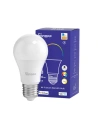 Buy Smart Bulb LED Sonoff B02-B-A60 (white) - SNF88 - {ean13} - Home Screen Store Europe