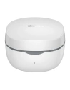 Buy Baseus Encok WM01 TWS Earphones (white) - BSU3931 - {ean13} - Home Screen Store Europe