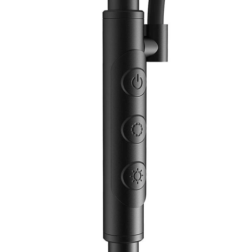 Buy Blitzwolf BWL-FL-0001 Double Floor Lamp with Remote Control 36W (black) - BLZ530 - {ean13} - Home Screen Store Europe