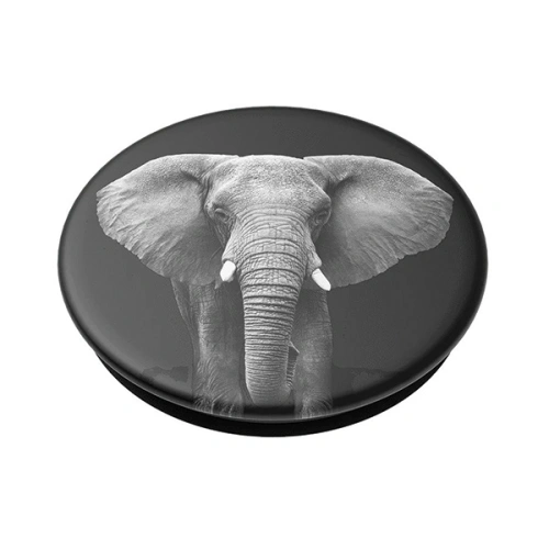 Buy POPSOCKETS 2 Loxodonta Africana 801686 - POP369 - {ean13} - Home Screen Store Europe
