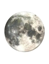 Buy POPSOCKETS 2 Moon 800454 - POP382 - {ean13} - Home Screen Store Europe