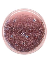 Buy POPSOCKETS 2 Tidepool Rose 801570 - POP423 - {ean13} - Home Screen Store Europe
