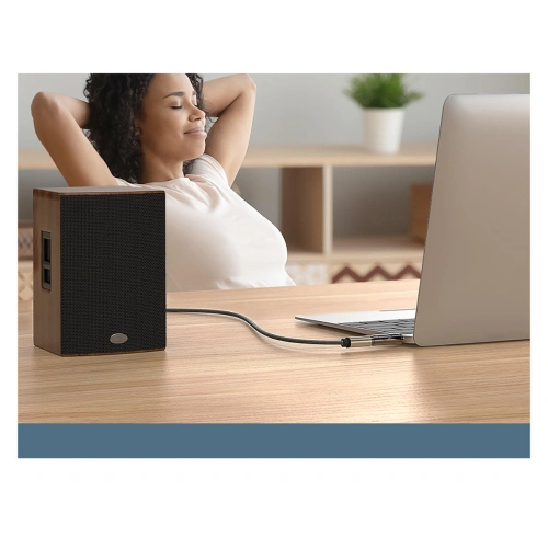 Kup UGREEN AV168 Audio-Adapter Mini-Klinke 3,5 mm/6,35 mm Klinke grau - UGR1580 - {ean13} - Sklep Home Screen