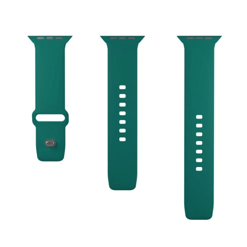 Kup Pasek PURO ICON Apple Watch 4/5/6/7/SE/8/9/10 40/41/42mm (S/M & M/L) (Jade) - PUR696 - {ean13} - Sklep Home Screen