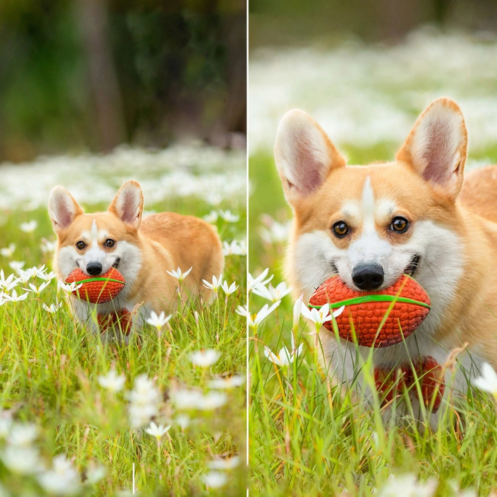 Kamera Choetech ASC005 WiFi z aplikacją sterującą Android/iOS + panel słoneczny 5W