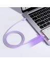 Kup Joyroom Cablu S-CC100A14 USB-C/USB-C 100W 1,2 m violet - JYR757 - {ean13} - Sklep Home Screen
