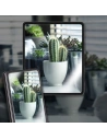 Buy Whitestone All-in-one Samsung Galaxy Z Fold 5 Clear [2+2+2 PACK] - WSD85 - {ean13} - Home Screen Store Europe