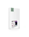 Kup Tech-Protect Apple Husă MagMood MagSafe iPhone 15 Plus / 14 Plus Spring Floral - THP2332 - {ean13} - Sklep Home Screen