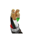 Kup Kabel USB-C s LED diodou Baseus C-shaped QC 3.0 1m (černý) - BSU376BLK - {ean13} - Sklep Home Screen