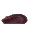 Buy Havit MS76GT Plus 1600 DPI plug&play 2.4 GHz wireless mouse (red) - HVT229 - {ean13} - Home Screen Store Europe