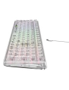 Kup Mechanische Gaming-Tastatur Havit KB875L transparent - HVT236 - {ean13} - Sklep Home Screen
