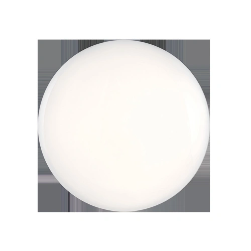 Buy Intelligent lamp Yeelight Galaxy Ceiling Light 480 (white) - YLT016WHT - {ean13} - Home Screen Store Europe