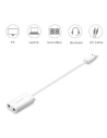 Buy USB External Sound Card UGREEN 15cm White - UGR083WHT - {ean13} - Home Screen Store Europe
