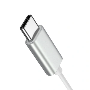 Kup Joyroom Căști intraauriculare JR-EC06 USB-C argintii - JYR907 - {ean13} - Sklep Home Screen