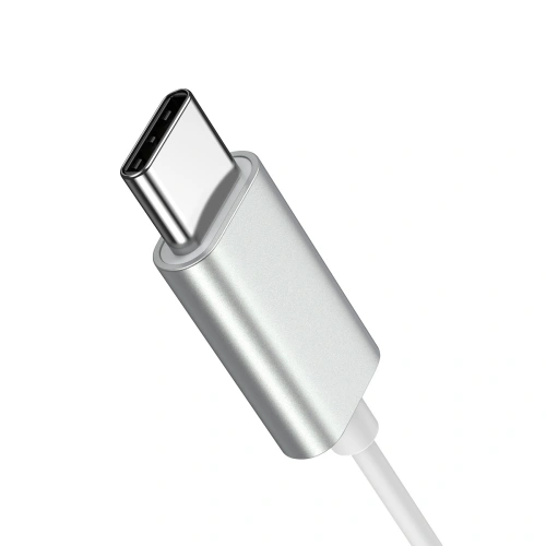 Buy Joyroom JR-EC06 in-ear headphones USB-C silver - JYR907 - {ean13} - Home Screen Store Europe