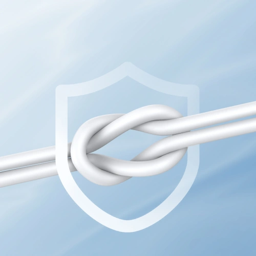 Kup Joyroom Căști intraauriculare JR-EC06 USB-C argintii - JYR907 - {ean13} - Sklep Home Screen