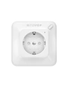 Buy Smart power socket WiFi BlitzWolf BW-SHP8 3680W, 16A - BLZ174 - {ean13} - Home Screen Store Europe