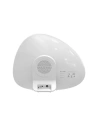 Buy Wake-up Light Alarm Clock BlitzWolf BW-LT23 - BLZ189 - {ean13} - Home Screen Store Europe