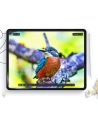Kup Folia de protecție Hofi Paper Pro+ Apple iPad Air 13 2024 Matte Clear [2 PACK] - HOFI497 - {ean13} - Sklep Home Screen