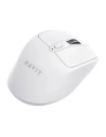 Buy Havit MS61WB-W wireless mouse 2.4GHz white - HVT299 - {ean13} - Home Screen Store Europe