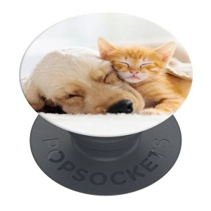 Kup Uchyt na telefon POPSOCKETS 2 Kočka & Pes - POP498 - {ean13} - Sklep Home Screen