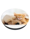 Kup Telefon tartó POPSOCKETS 2 Macska és Kutya - POP498 - {ean13} - Sklep Home Screen