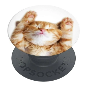 Kup Držák na telefon POPSOCKETS 2 Snoozy Cat - POP510 - {ean13} - Sklep Home Screen