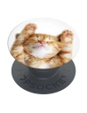 Handyhalterung POPSOCKETS 2 Snoozy Cat