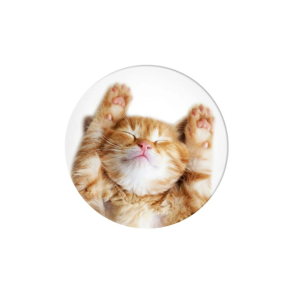Uchwyt do telefonu POPSOCKETS 2 Snoozy Cat