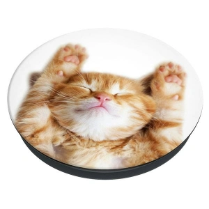 Kup Držák na telefon POPSOCKETS 2 Snoozy Cat - POP510 - {ean13} - Sklep Home Screen