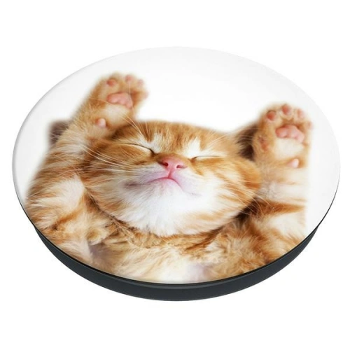 Kup Handyhalterung POPSOCKETS 2 Snoozy Cat - POP510 - {ean13} - Sklep Home Screen