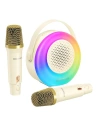 Set de karaoke pentru copii BlitzWolf BM-K10 (bej) - !ZAIMPORTOWANE - BlitzWolf