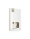 Kup Tech-Protect MagFlex MagSafe Apple iPhone 16 Pro Glänzendes Gold - THP3146 - {ean13} - Sklep Home Screen