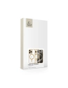 Kup Tech-Protect MagFlex MagSafe Apple iPhone 16 Pro Max Glänzendes Gold - THP3147 - {ean13} - Sklep Home Screen