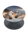Popsockets 2 Cai la apus - basic