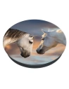 Kup Popsockets 2 Cai la apus - basic - POP530 - {ean13} - Sklep Home Screen