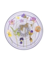 Kup Popsockets PlantCore Fogantyú Lila Mezők - POP532 - {ean13} - Sklep Home Screen