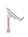 Buy Baseus Literary Youth Desktop Bracket (Telescopic)Rose gold - BSU1164PNK - {ean13} - Home Screen Store Europe