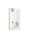 Buy [OUTLET] Case Tech-Protect MagFlex MagSafe Apple iPhone 16 Shiny Gold - OT-821 - {ean13} - Home Screen Store Europe