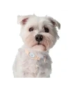 Buy Bizon Case Locator Pets Apple AirTag light pink - BIZ4 - {ean13} - Home Screen Store Europe