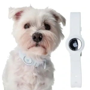 Buy Bizon Case Locator Pets Apple AirTag white - BIZ6 - {ean13} - Home Screen Store Europe
