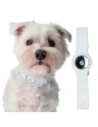 Buy Bizon Case Locator Pets Apple AirTag white - BIZ6 - {ean13} - Home Screen Store Europe