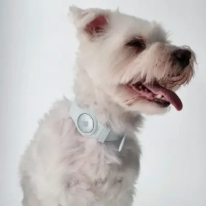 Kup Bizon Case Locator Pets Apple AirTag fehér - BIZ6 - {ean13} - Sklep Home Screen
