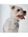 Buy Bizon Case Locator Pets Apple AirTag white - BIZ6 - {ean13} - Home Screen Store Europe