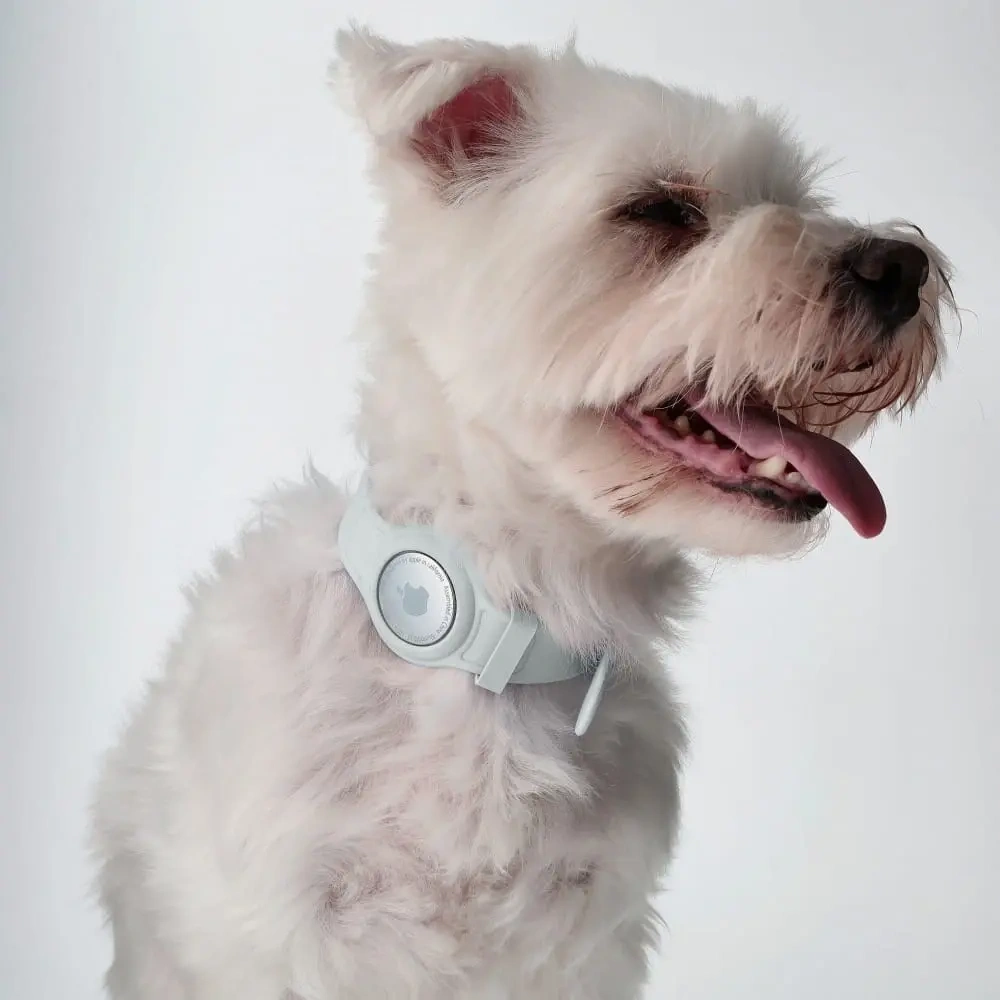 Etui Bizon Case Locator Pets do Apple AirTag białe